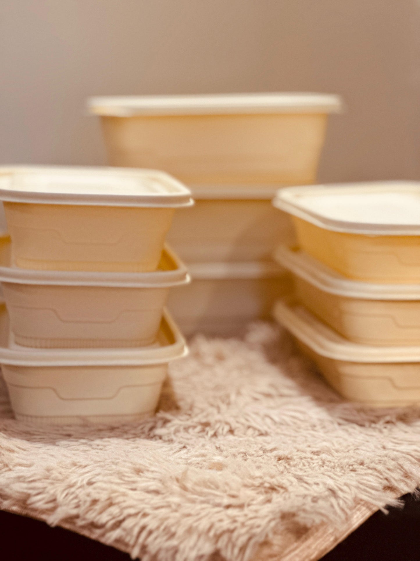 EcoEdge Bio Plastic Container With Lid